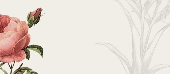 Remarket Home 2 Check our catalog