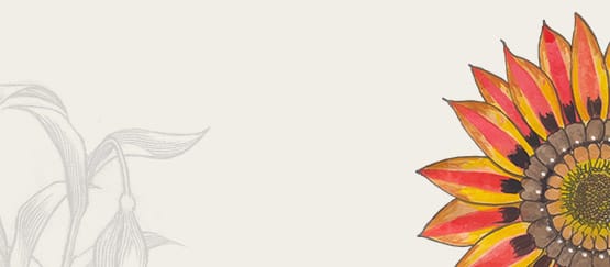 Remarket Home 3 50% of discount