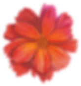 flower.png Flower